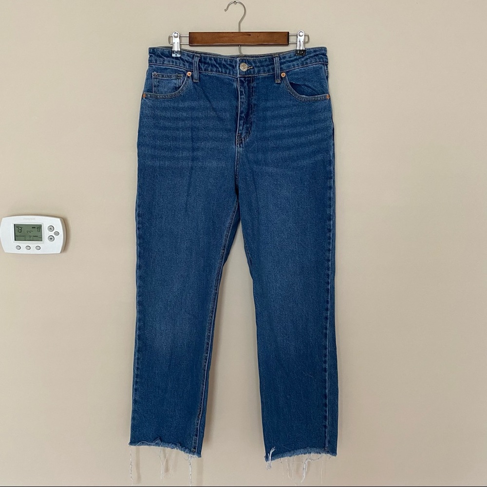 Wild fable jeans